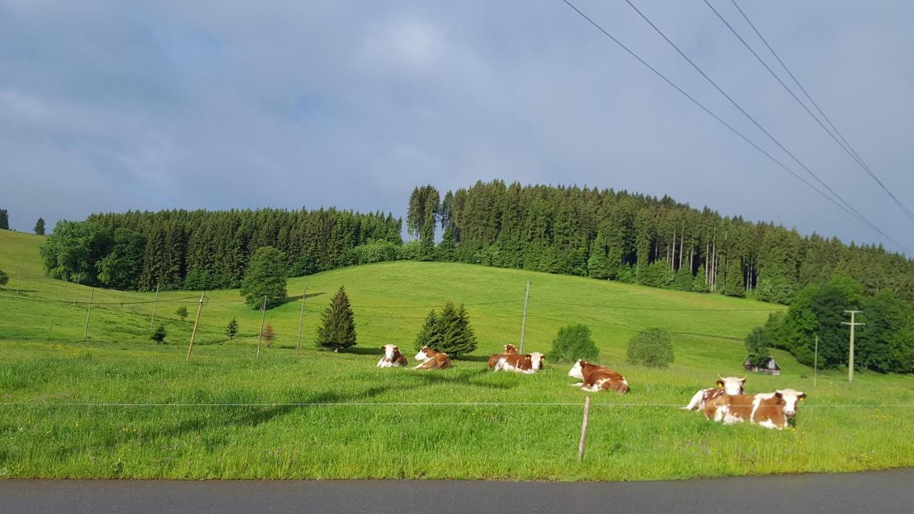 Appartement Rehblick Eisenbach  Kültér fotó