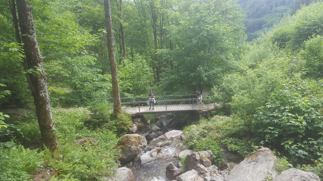 Appartement Rehblick Eisenbach  Kültér fotó