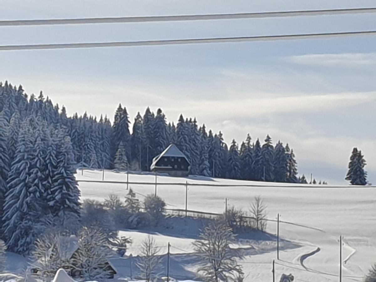 Appartement Rehblick Eisenbach  Kültér fotó