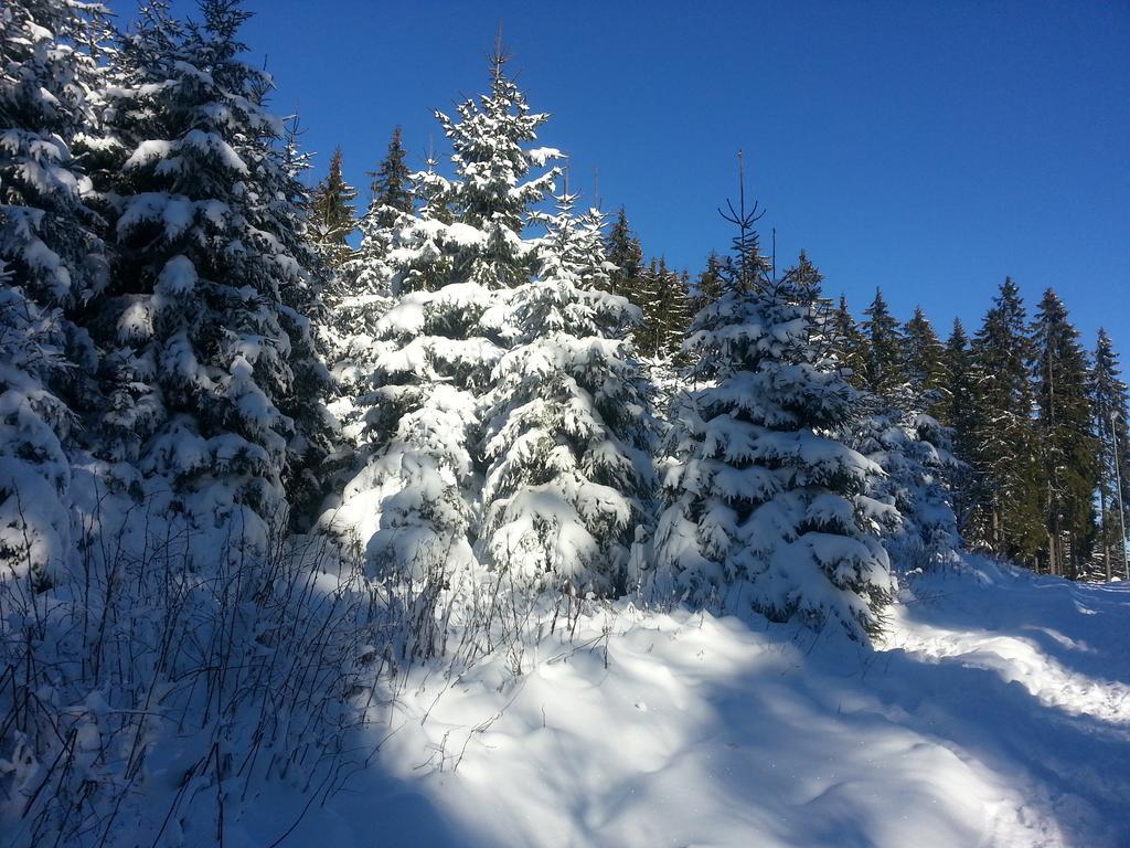 Appartement Rehblick Eisenbach  Kültér fotó