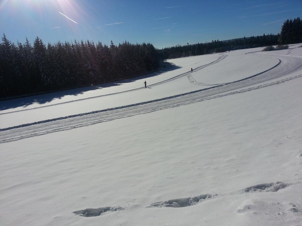 Appartement Rehblick Eisenbach  Szoba fotó