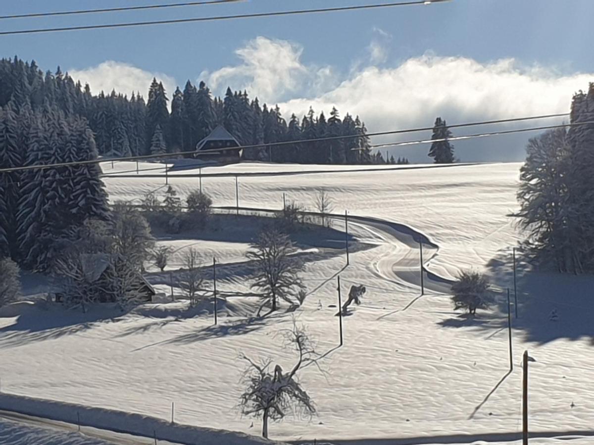 Appartement Rehblick Eisenbach  Kültér fotó