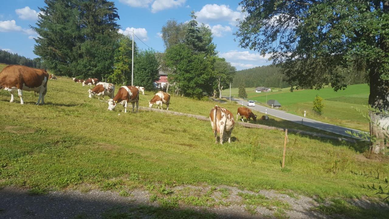 Appartement Rehblick Eisenbach  Kültér fotó