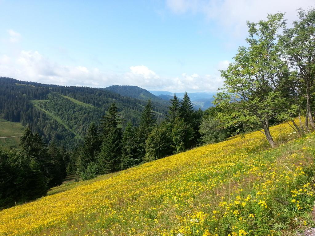Appartement Rehblick Eisenbach  Szoba fotó