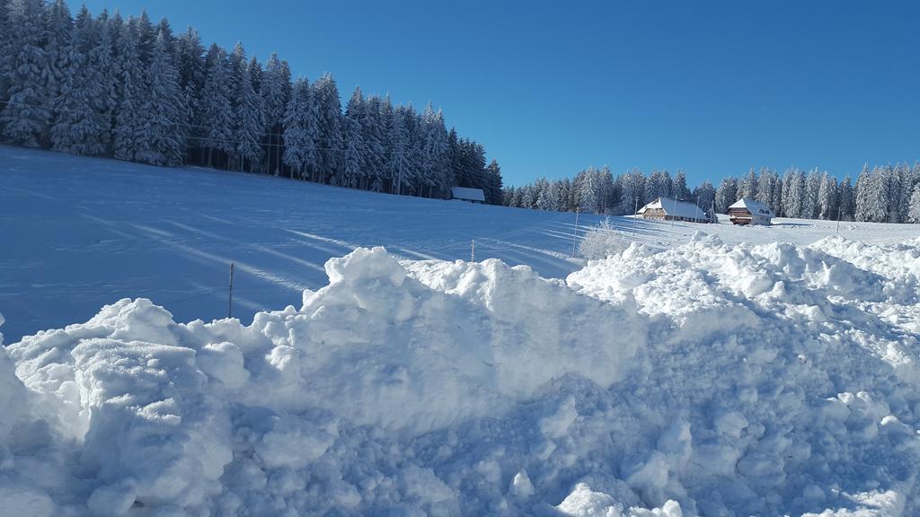 Appartement Rehblick Eisenbach  Kültér fotó