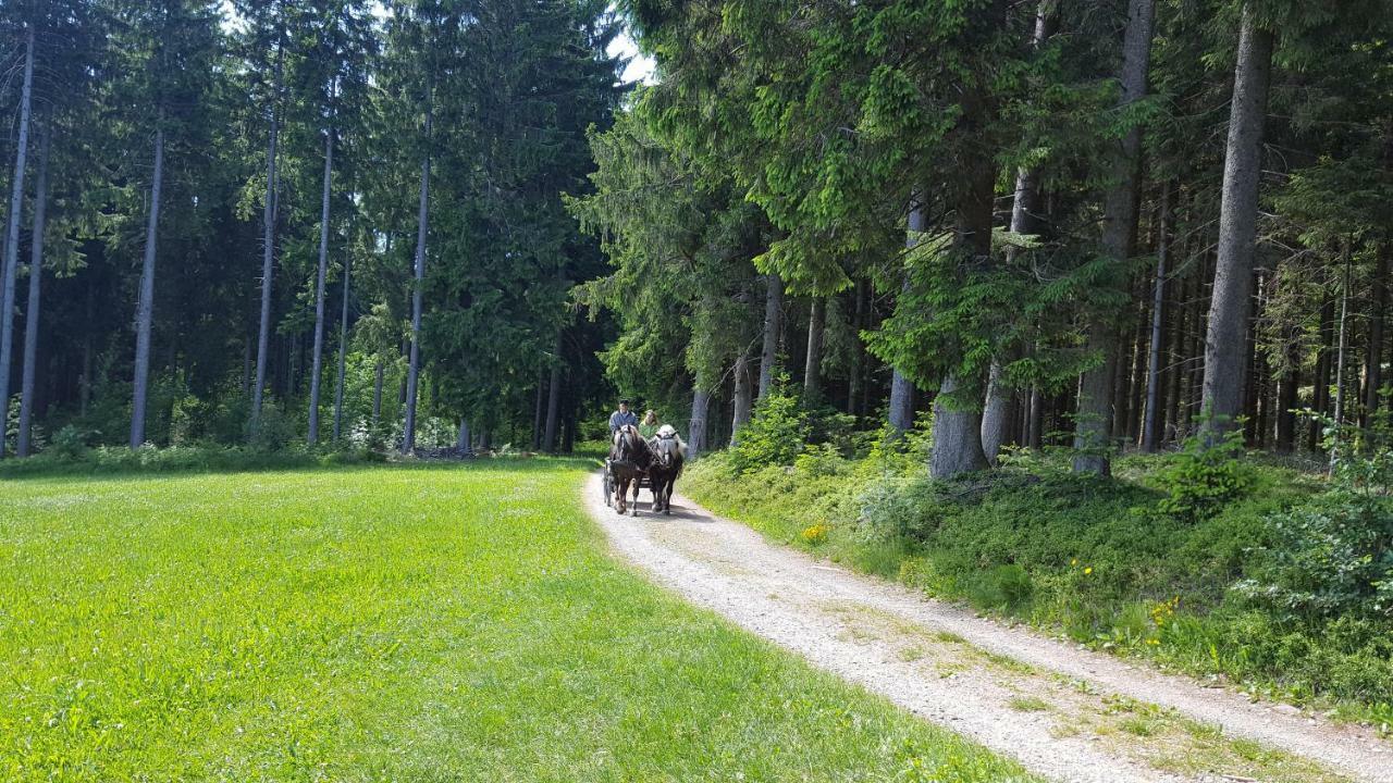 Appartement Rehblick Eisenbach  Kültér fotó