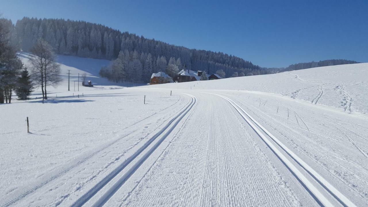 Appartement Rehblick Eisenbach  Kültér fotó